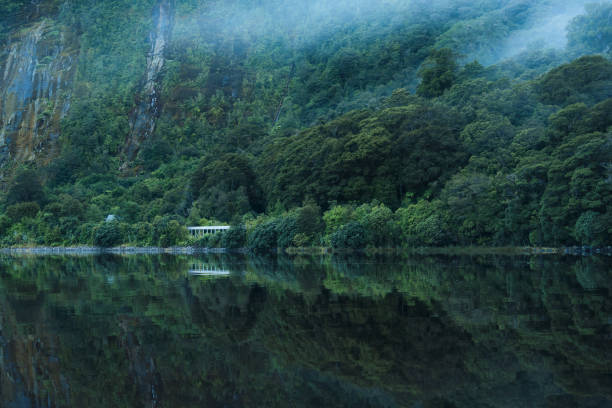 Scenery of deep forest with lake and foggy reflection in the morning at national park