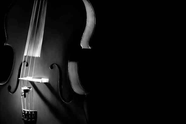 istock Cello orchestral musical instrument 2157722220