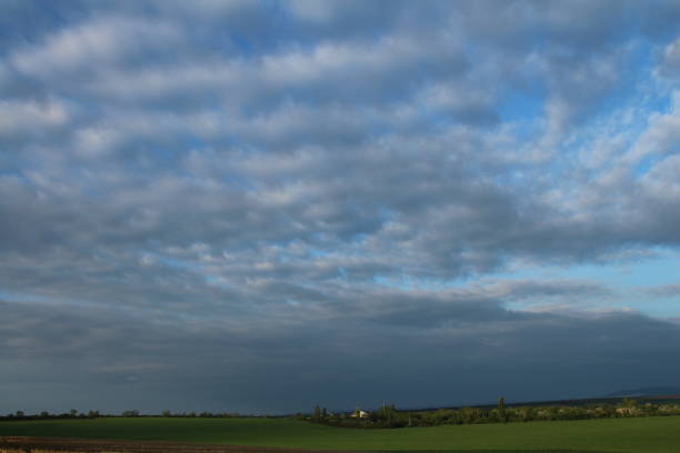 istock A large green field with a blue sky and clouds 2157723256