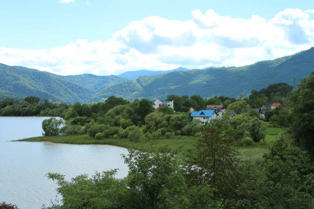 A lake surrounded by trees and houses