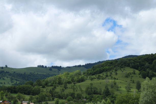 istock A landscape with trees and hills 2157723475