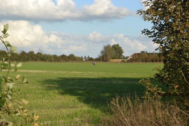 istock Images from the south Denmark nature 2157723808