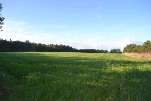 istock Images from the south Denmark nature 2157723845