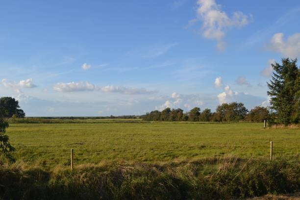 istock Images from the south Denmark nature 2157723920
