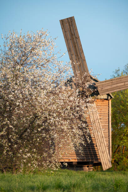 Bright sunny day in spring in the countryside, renewed windmill as village sightseeing