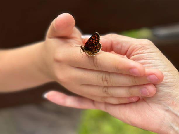 istock Beautiful butterfly on hands with blurred background in natural color tones. 2157728867
