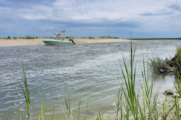 A center console boat anchors on a sandy beach in a creek off Charleston Harbor in Charleston, SC