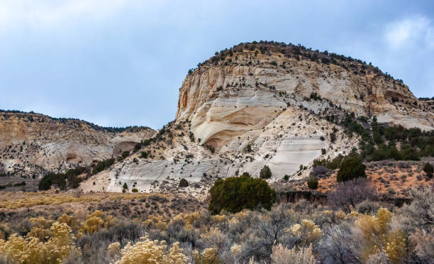 istock White rock made of layered petrified sandstone 2157729482