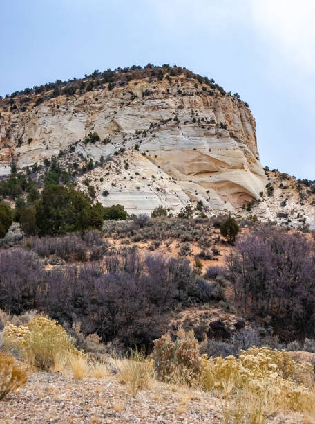 istock White rock made of layered petrified sandstone 2157729486