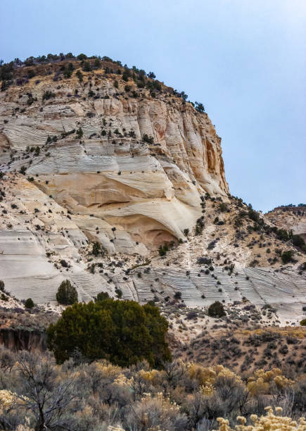 istock White rock made of layered petrified sandstone 2157729494