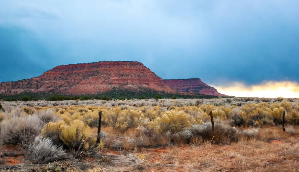 istock Red petrified sandstone rock in the Arizona desert 2157729507