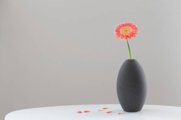 istock pink gerber in gray vase on white table on background gray wall 2157729572