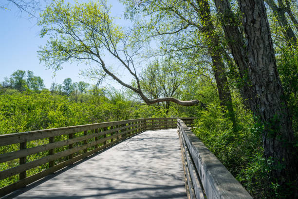 Recreation activities at Roswell Riverwalk Boardwalk is a 7-mile off-road path that runs along the Chattahoochee River in Roswell, Georgia, north of Fulton County.