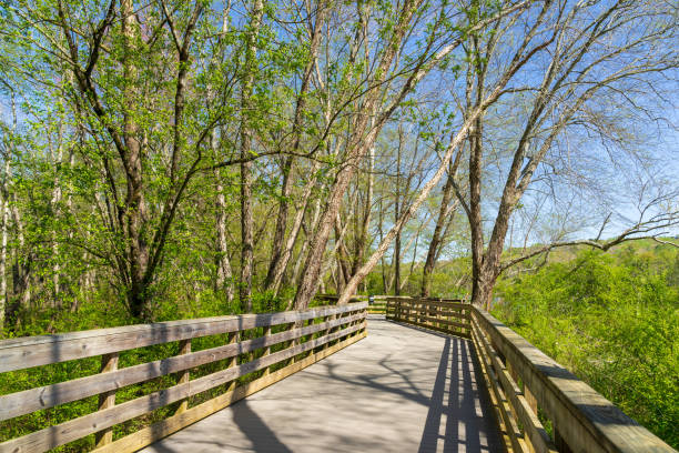 istock Recreation activities at Roswell Riverwalk Boardwalk is a 7-mile off-road path that runs along the Chattahoochee River in Roswell, Georgia, north of Fulton County. 2157729645