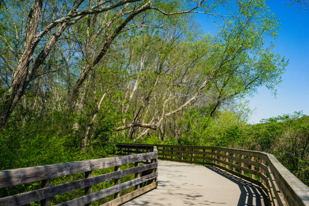 istock Recreation activities at Roswell Riverwalk Boardwalk is a 7-mile off-road path that runs along the Chattahoochee River in Roswell, Georgia, north of Fulton County. 2157729650