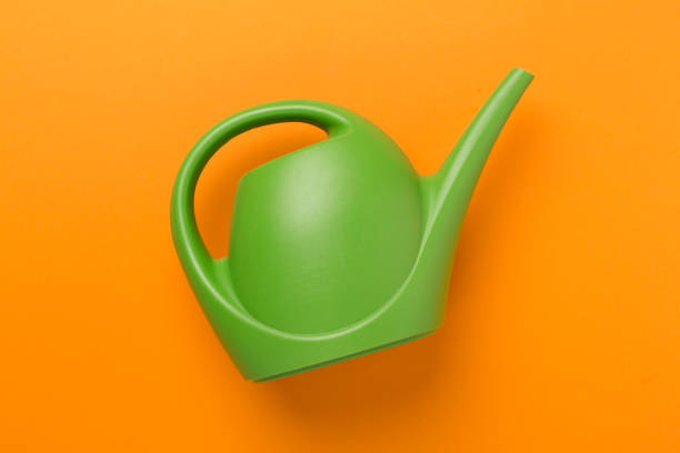 Watering can on color background, top, view