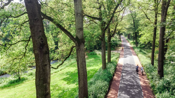 istock Bicycle lane on road between trees aerial drone view from above, beautiful cycling path for bikes in Netherlands 2157736871