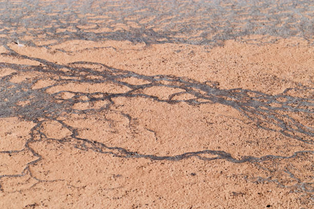 Abstract relief rough gritty neutral beige surface of background texture. Aesthetic pattern on sandstone. Top view textured sand, natural ornament or wallpaper, macro photo shore salt lake