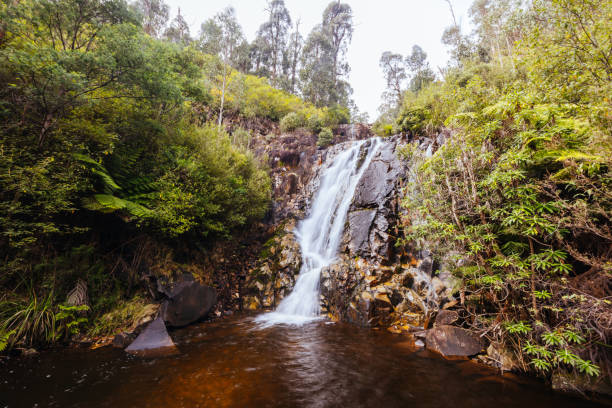 istock Steavenson Falls in Marysville Australia 2157739574