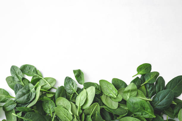 Pile of spinach leaves close-up on a white background