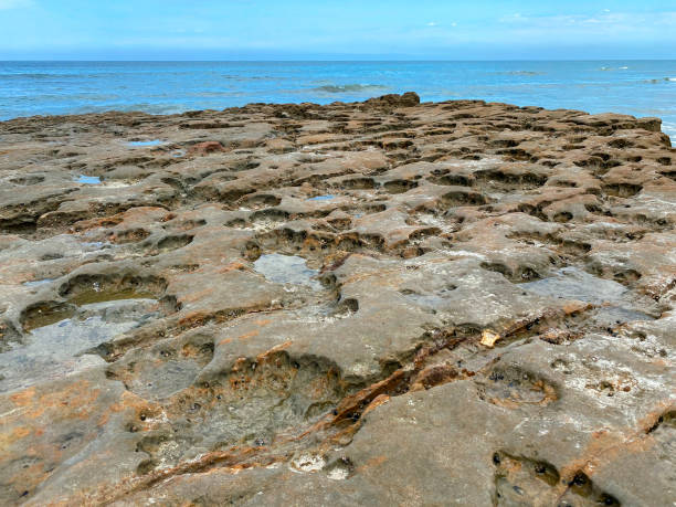 istock Tide Pools Flat Rock Torrey Pines State Reserve South Beach 2157745319