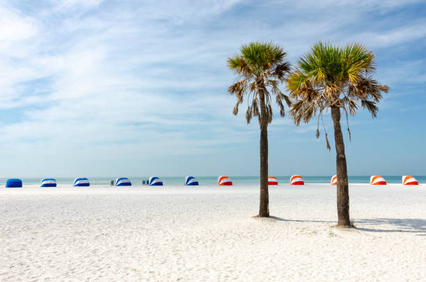 Blue and white, along with red and white, beach cabanas line the sandy shores of Clearwater Beach, Florida, under a partly cloudy sky with two palm trees in the foreground.