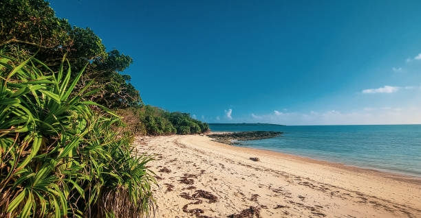 istock Tranquil Tropical Beach with Clear Blue Skies and Lush Greenery 2157756247