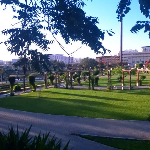 istock Palms tree in ontanyades  garden 2157759181