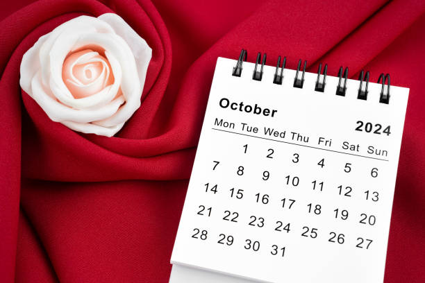 istock October 2024 desk calendar and pink rose on red textile. 2157764425