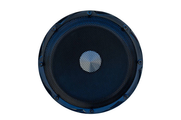 Acoustic speaker isolated on white closeup