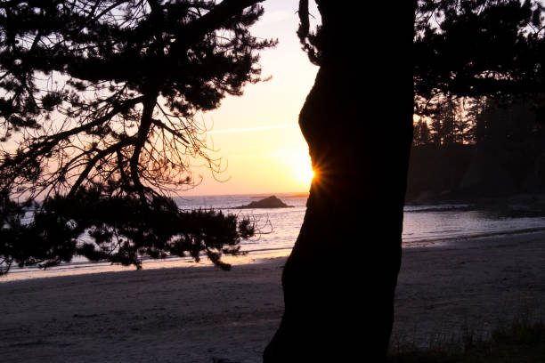North America, Oregon, Sunset Bay State Park. Beach at sunset.