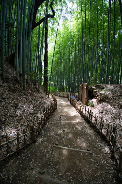 Samurai Path Design 840+ Samurai Residence Photos Stock Photos, Pictures & Royalty-Free ...