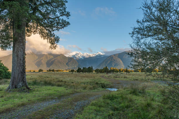 istock Fox Glacier viewed from Lake Mathson, Ne Zealand 2157765046