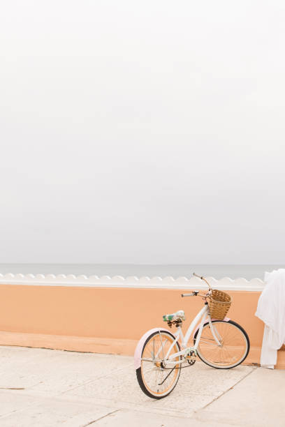 Pink Beach-Cruiser Bicycle with a Wicker Basket Parked Beach-Side in Palm Beach, Florida