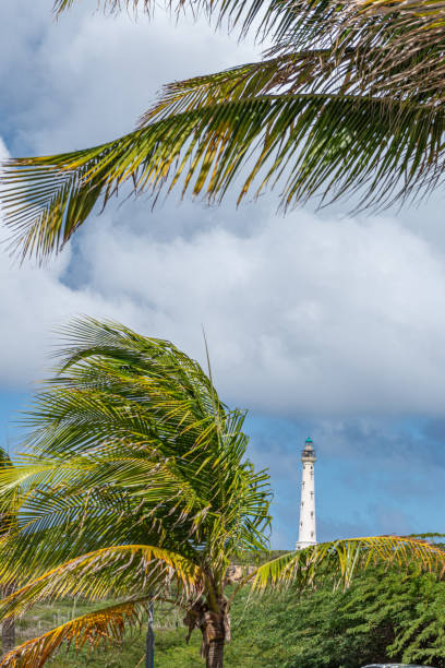 A lighthouse is a luminous signaling tower located on the sea coast or land, as a reference and coastal or aerial warning for sailors.