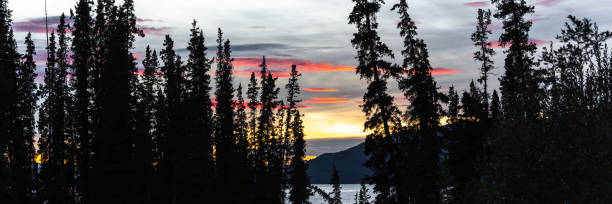 istock Panoramic summer views in Yukon Territory, Canada taken at Marsh Lake. 2157770577