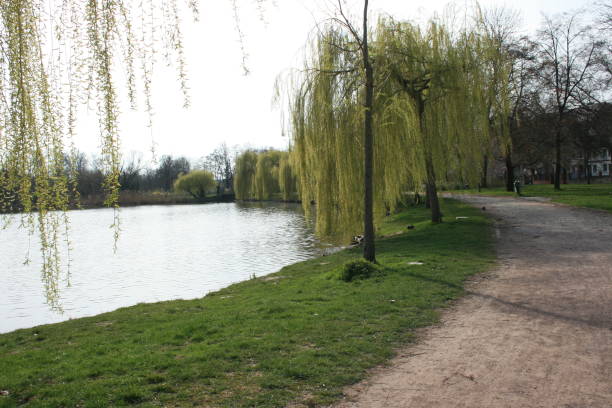 istock A park in city , calm lake 2157770691