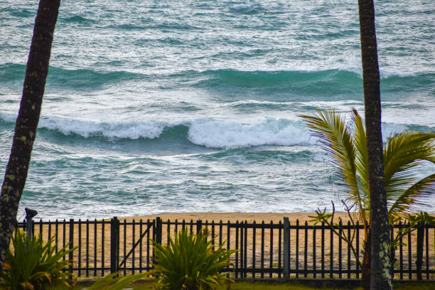 Sunny Sandy Beach with Palm Trees in the Distance Behind a Fence in Tropical Miami Beach, Florida in February of 2024