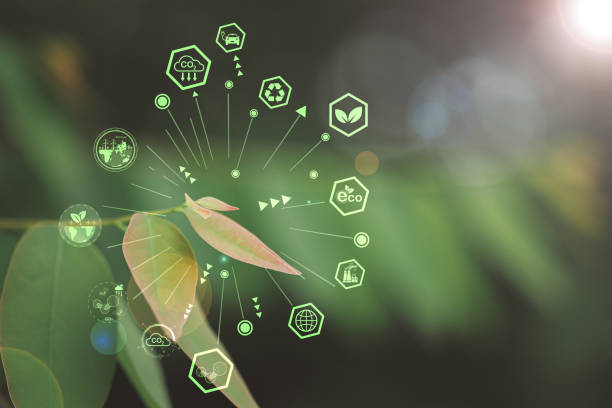 istock Reduce CO2 emission concept, global warming, Concept depicting the issue of carbon dioxide emissions and its impact on nature in the form of a pond in the shape of a co2 symbol located in forest. 2157782999