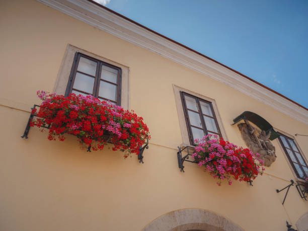 Perchtoldsdorf, Austria - July 22, 2023.  facades of old building  with flowers in  city center Historical old  Town of Perchtoldsdorf, Moedling district, Lower Austria.