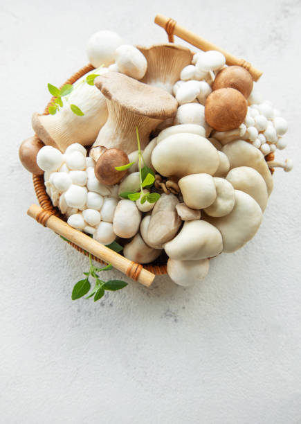 istock Variety of mushrooms 2157789957