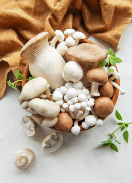 istock Assortment of various mushrooms 2157789959
