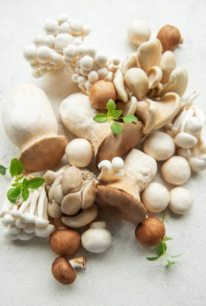 istock Assortment of various mushrooms 2157789960