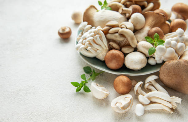 istock Assortment of various mushrooms 2157789962