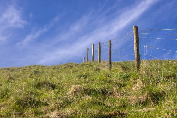 Metal wire fence against clear blue sky creating geometric grid pattern.