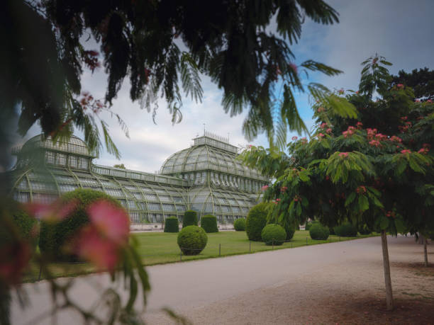 Vienna, Austria - 27 July 2023: beautiful old greenhouse orangery in the park of Schönbrunn palace, founded in 1882. The view on park with buildings, trees and colorful flowers evening sunset time.