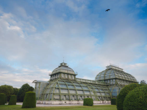Vienna, Austria - 27 July 2023: beautiful old greenhouse orangery in the park of Schönbrunn palace, founded in 1882. The view on park with buildings, trees and colorful flowers evening sunset time.