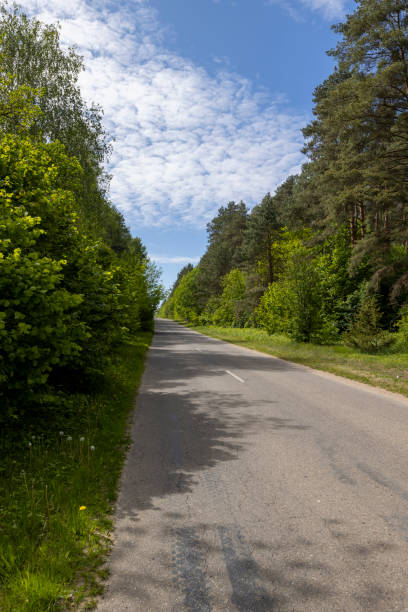 istock a country road of good quality in spring in a deciduous forest 2157795670