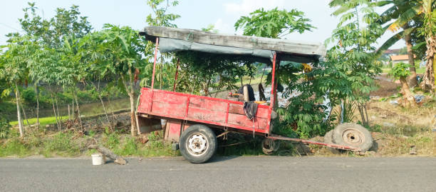 istock Rice cart for farmers 2157797204