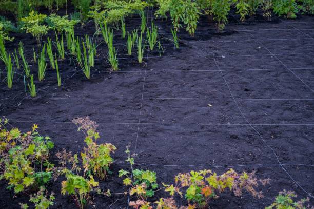 istock Landscaping. A lined plot of land for planting ornamental plants. 2157798072